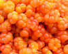 Fresh cloudberries from Lapland